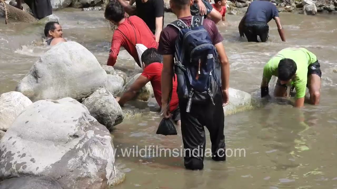 Maund mela river fishing ritual in Uttarakhand