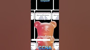 Cisco CCNA - What command shows displays ip info? - icmpwolf #ccnaexam #ccnaprep #icmpwolf