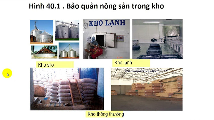 Bảo quản có nghĩa là gì