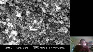 Sem Image Of Zno Nanoparticles