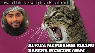 Is It Permissible To Kill A Cat For Stealing Chicks  Ustadz Syafiq Riza kajianislam