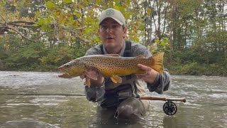 Fishing for Fall Brown Trout in Virginia