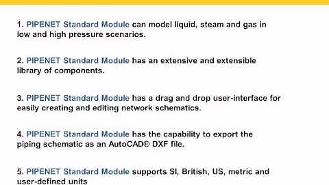 PIPENET® Vision Standard module