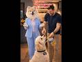 “Petisco não é só carinho.” #pets