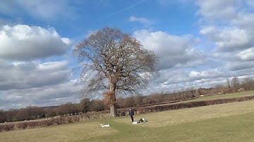 E Flight Convergence 1st Flight in ACRO Crash !