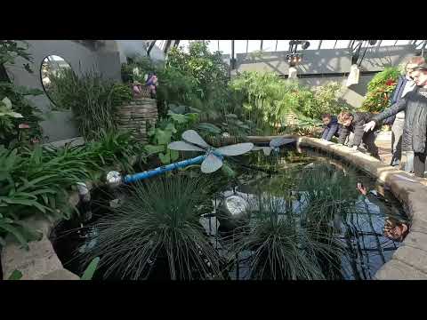 Muttart Conservatory Day Out March 11 2023 Edmonton Alberta Canada