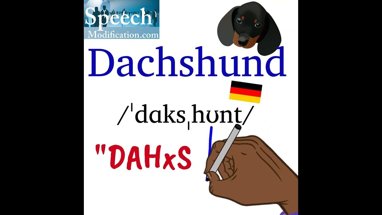 How to Pronounce Dachshund (In German and in English) YouTube