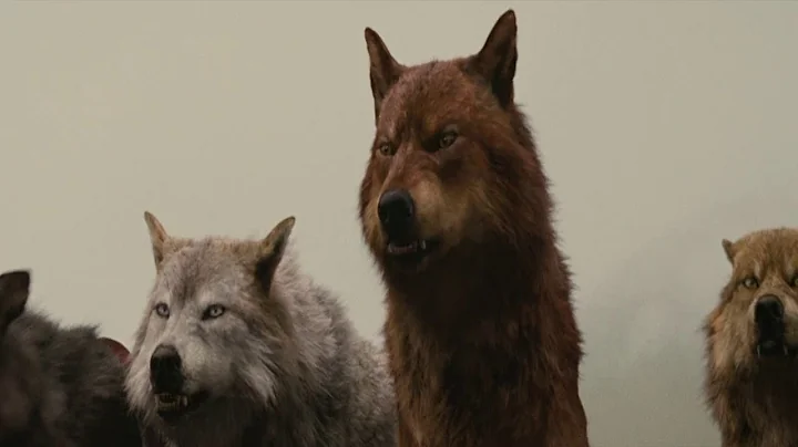 Little werwolf Jacob resisted the suppression of t...