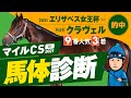【マイルチャンピオンシップ 2021】先週は特注馬が9番人気3着！波乱の阪神で輝く◎イチオシ馬体！某大手牧場の元スタッフが見抜くGIイチオシ馬体！GIフォトパドック【競馬 予想】