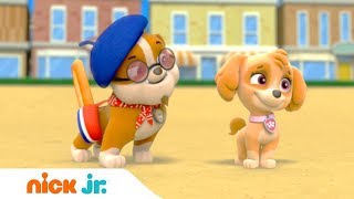 #мультики Щенячий патруль Крепыш Француз Nick Jr Россия