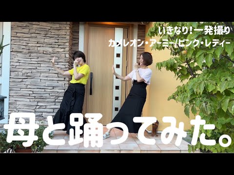 一発撮り カメレオン アーミー ピンク レディー 母と踊ってみた 6
