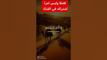 القرآن الكريم #دويتو #اكسبلور #تيك_توك #duet #رمضانمبارك #في #لايك #فولو #راحة_نفسية #حالات_واتس