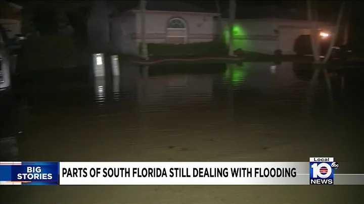 Local 10 Morning News Brief 11-11-2020