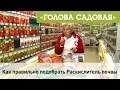 Голова садовая - Как правильно подобрать раскислитель почвы