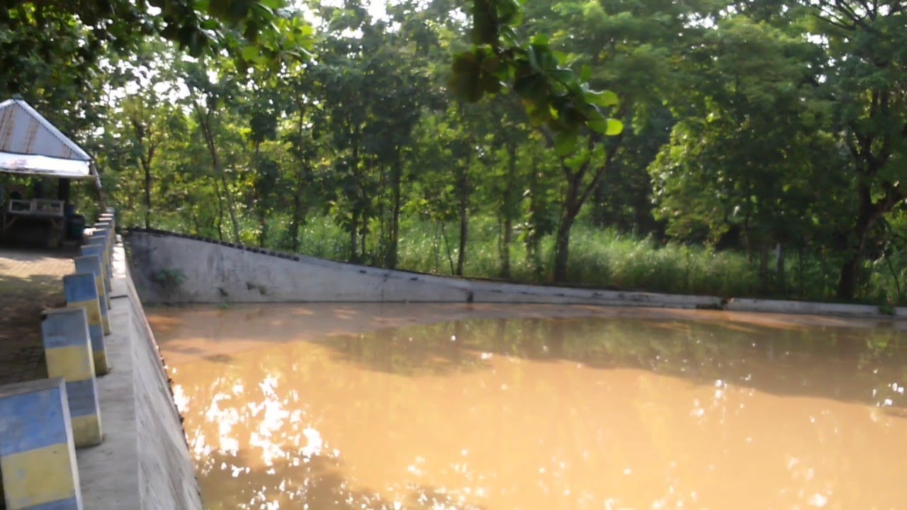 What A Brown Lake YouTube