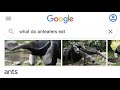 Embarrassingly dumb google searches