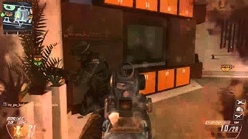 Black Ops 2 Tac Insert Fun/Trolling
