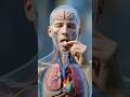 How Sublingual tablets Works Inside Your Body #humanbody #medicine #subscribe