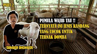 PEMULA WAJIB TAU!! TERNYATA INI JENIS KANDANG YANG COCOK UNTUK TERNAK DOMBA | SUMBHER DOBHOS FARM