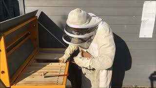 Petites astuces utiles pour la visite de ruche kényane