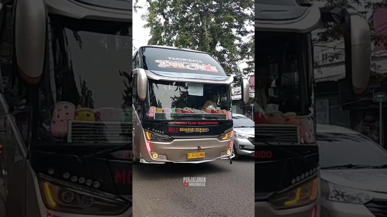 Golden Star: Mengantar Petualangan, Mewujudkan Kenangan – Eksplorasi Layanan Bus Pariwisata Sumber Group