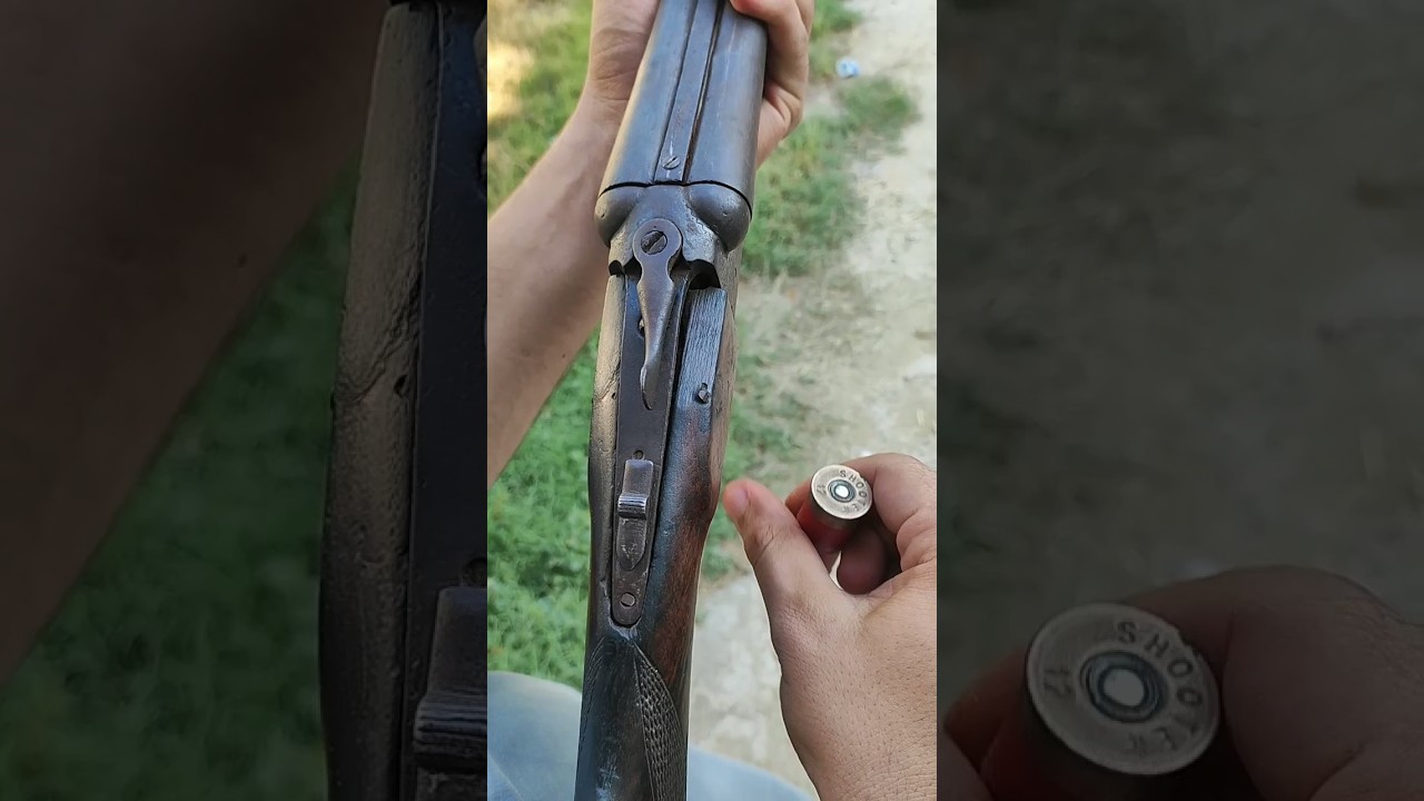 150year old 12gauge shotgun