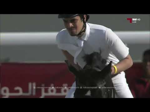 بطولة قطرالدولية لقفز الحواجز
