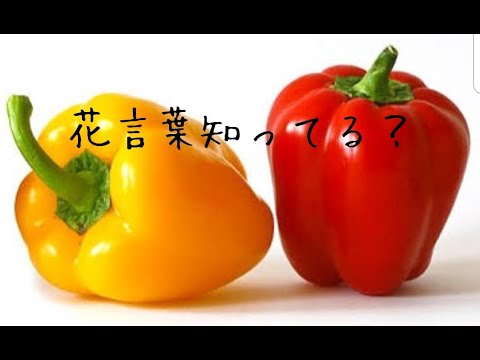 花言葉 パプリカ 花言葉であなたを忘れないという意味を持つもの・大切な人が喜ぶオススメの種類