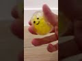 Yellow Edition ⭐️ squishy #asmr #asmrsounds #viral