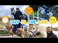 DAY IN THE LIFE OF ME ~ Riding, Yard Chores, Vet Visit...