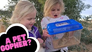 Live Trapping a Gopher | Pet Gopher