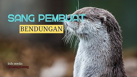 BERANG-BERANG SANG PEMBUAT BENDUNGAN