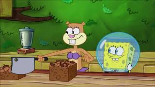 SpongeBob SquarePants episode Sandy's Nutmare aired on January 24, 2003 Resimi