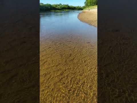 Video: Rieka Neya v regióne Kostroma