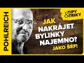 Jak krájet bylinky najemno jako šéf