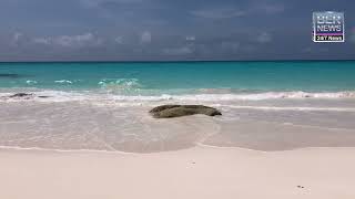 Scenic Look At The South Shore, Bermuda, May 2024