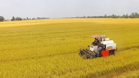 Tận dụng CPTPP đẩy mạnh xuất khẩu nông sản