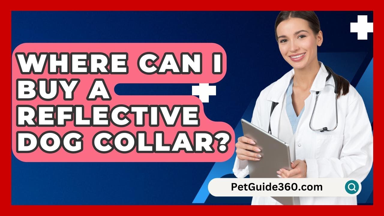 Where Can I Buy A Reflective Dog Collar? - PetGuide360.com