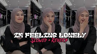 Dj Im Feeling Lonely - Slowed   Reverb🎧