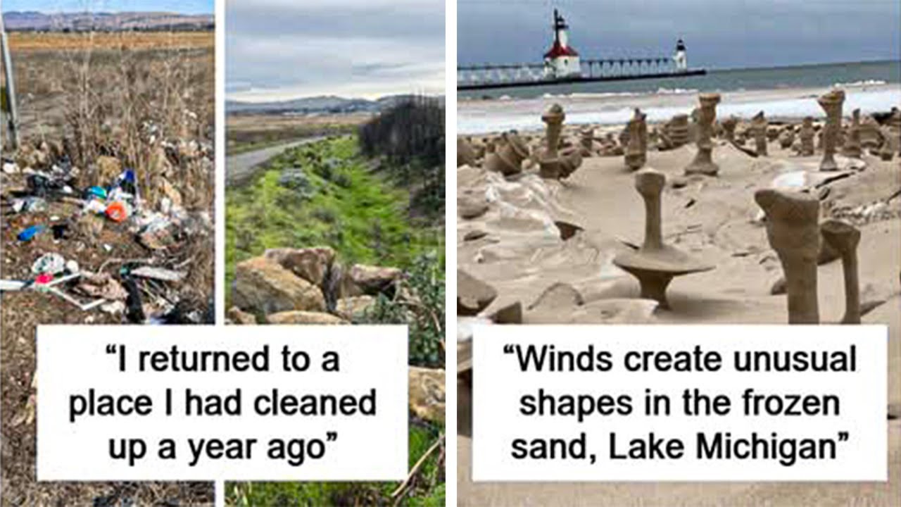 This Online Group Shares Uplifting Pics to Make You Smile (New)