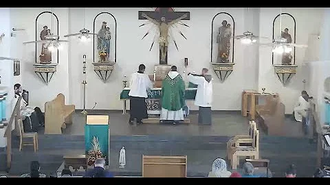 Divine Mercy Sunday - Celebrant Fr. Peter Teresa M...