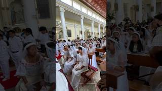 МНОГО НЕВЕСТ #продолжаемнеработать
