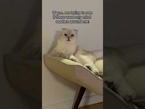 Sound On For This One Kikicutekitty SofiManassyan Relatable Kids Funny Comedy Jokes Fyp