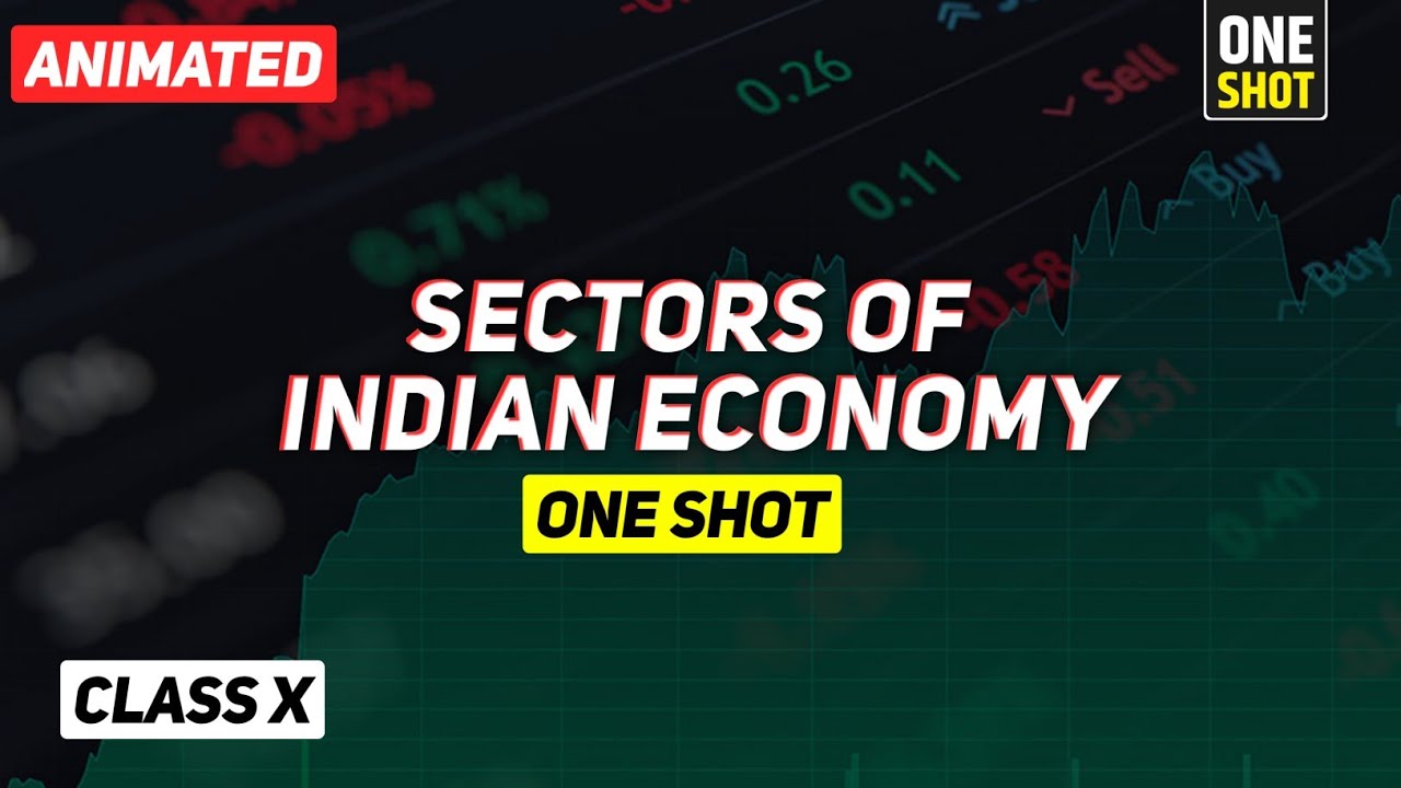 Sectors of Indian Economy class 10 full chapter (Animation) | Class 10 Economics Chapter 2 CBSE