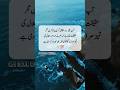 Haqeeqat yae Hy | QA Soul Official| #Shorts #shortsfeed #shortvideo #haqeeqatyaehy #factshorts