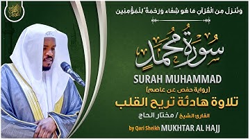 سورة محمد القارئ مختار الحاج - تلاوة خاشعة  Surah Muhammd Mukhtar Al Hajj