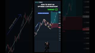 Master The Uptrend Continuation Trade Bullish Flag Breakout Strategy Works In Any Market