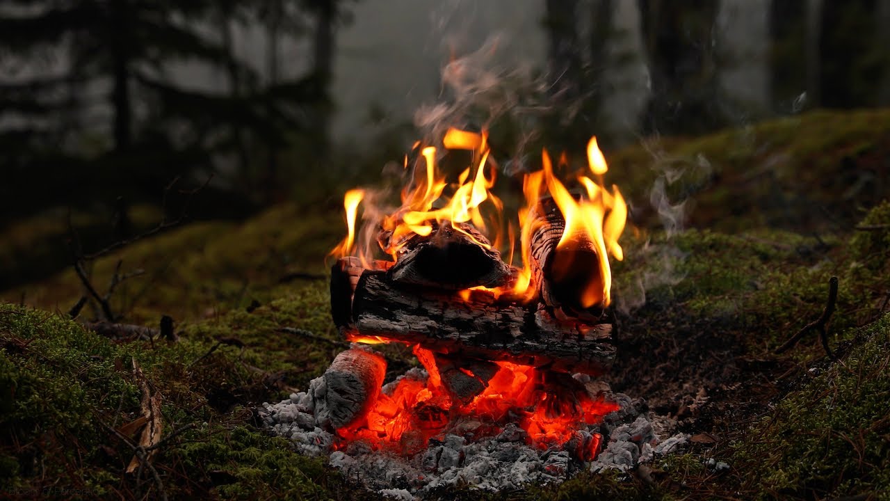 Dancing Campfire Flames | Crackling & Bubbling Fire Sounds adlı videoyu YouTube'da izle Dancing Campfire Flames | Crackling & Bubbling Fire Sounds adlı videoyu YouTube'da izle