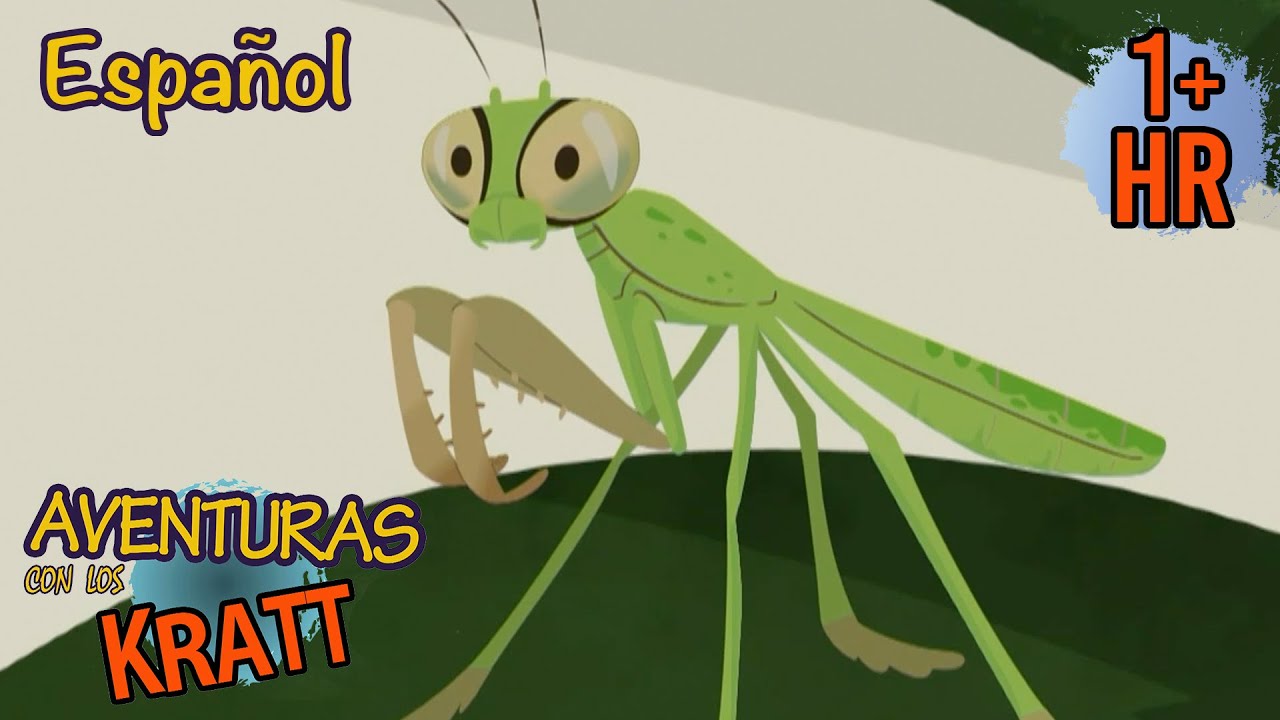 Mantis Religiosa | DIBUJOS ANIMADOS | Aventuras con los Kratt | Scholastic Kids en Español