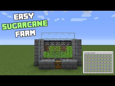 Minecraft: Easiest Automatic Sugarcane Farm! [1.16-1.17]